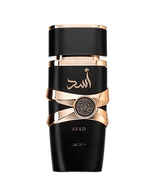 Asad Masculino Eau de Parfum 100ml - FRENESI