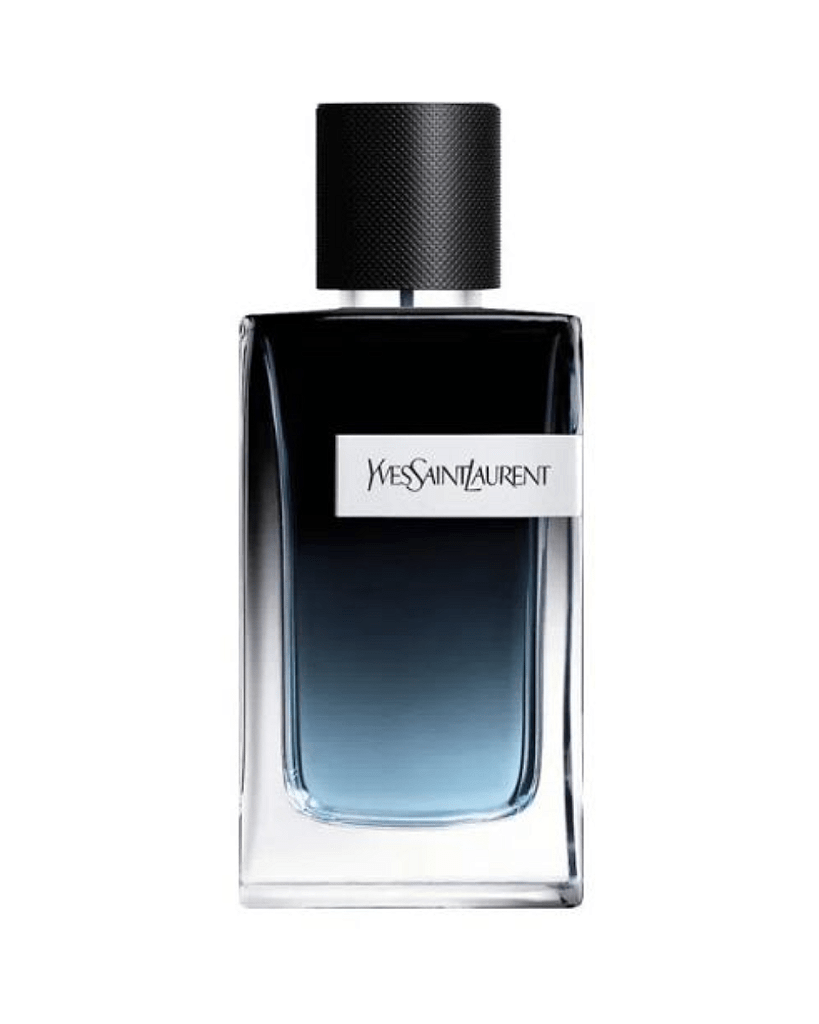 Y Yves Saint Laurent Masculino Eau de Parfum 100ml - FRENESI