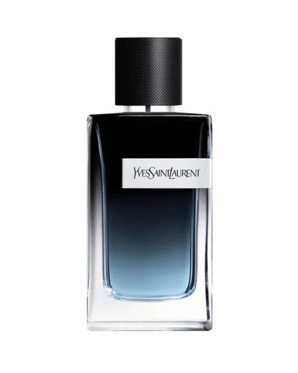 Y Yves Saint Laurent Masculino Eau de Parfum 100ml - FRENESI